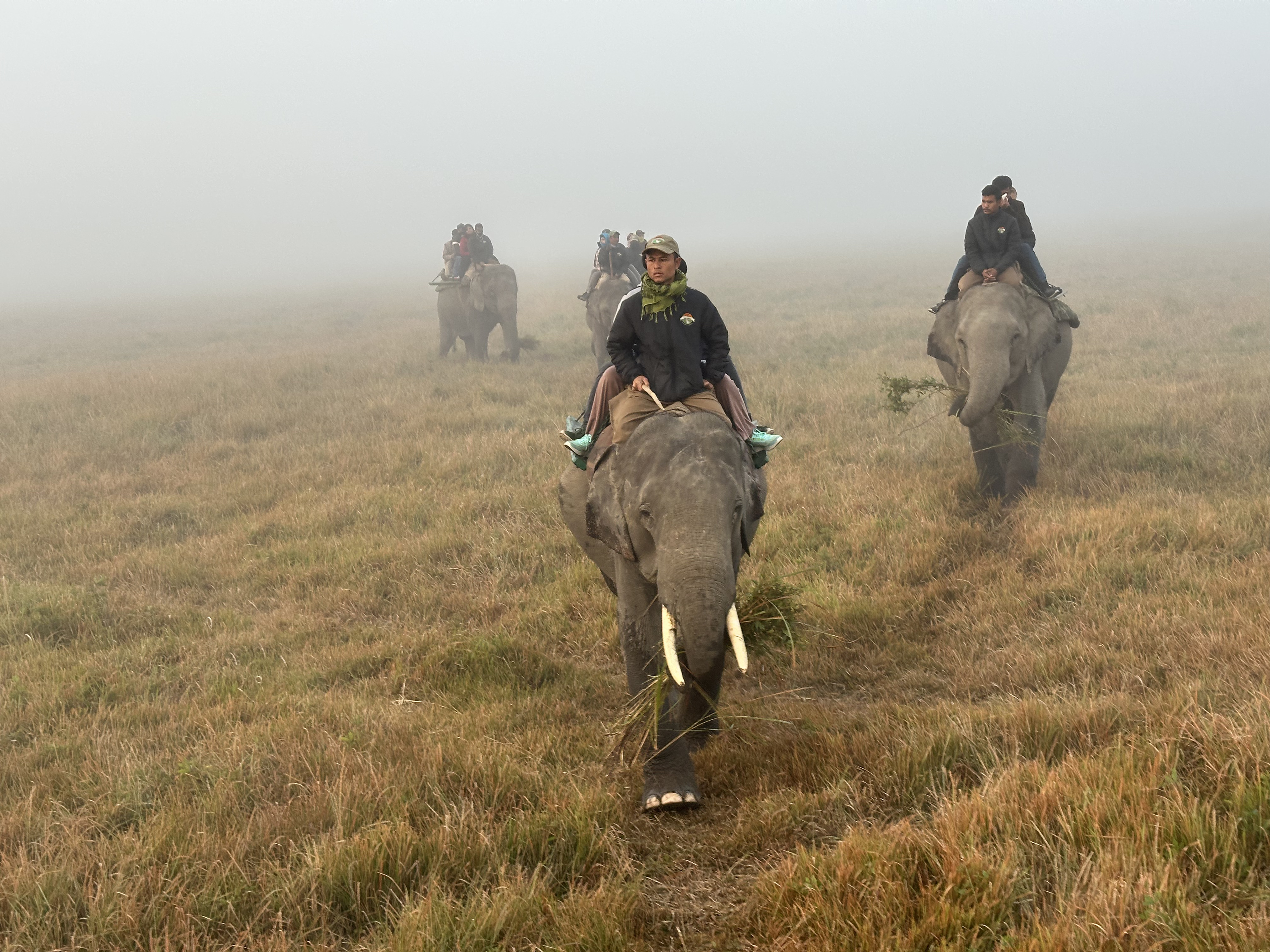 Highven Adventures tours & travels